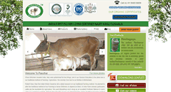 Desktop Screenshot of pasuthai.com